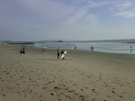 IMG00638-20100129-1534.jpg