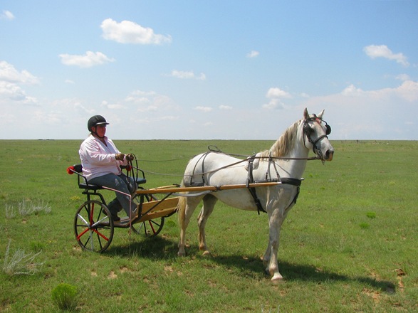 [IMG_4481%255B5%255D.jpg]