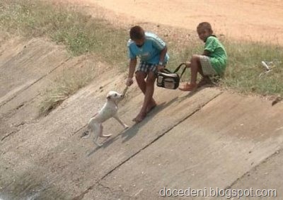 [solidariedade4%255B7%255D.jpg]