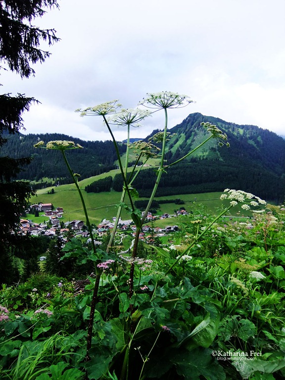 [Berwang95%255B4%255D.jpg]