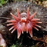 @ 10 curiosidades interessantes que provavelmente você não sabia @ 10 curiosidades interessantes que provavelmente você não sabia