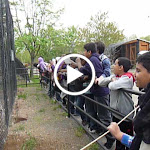 P1090660.MOV