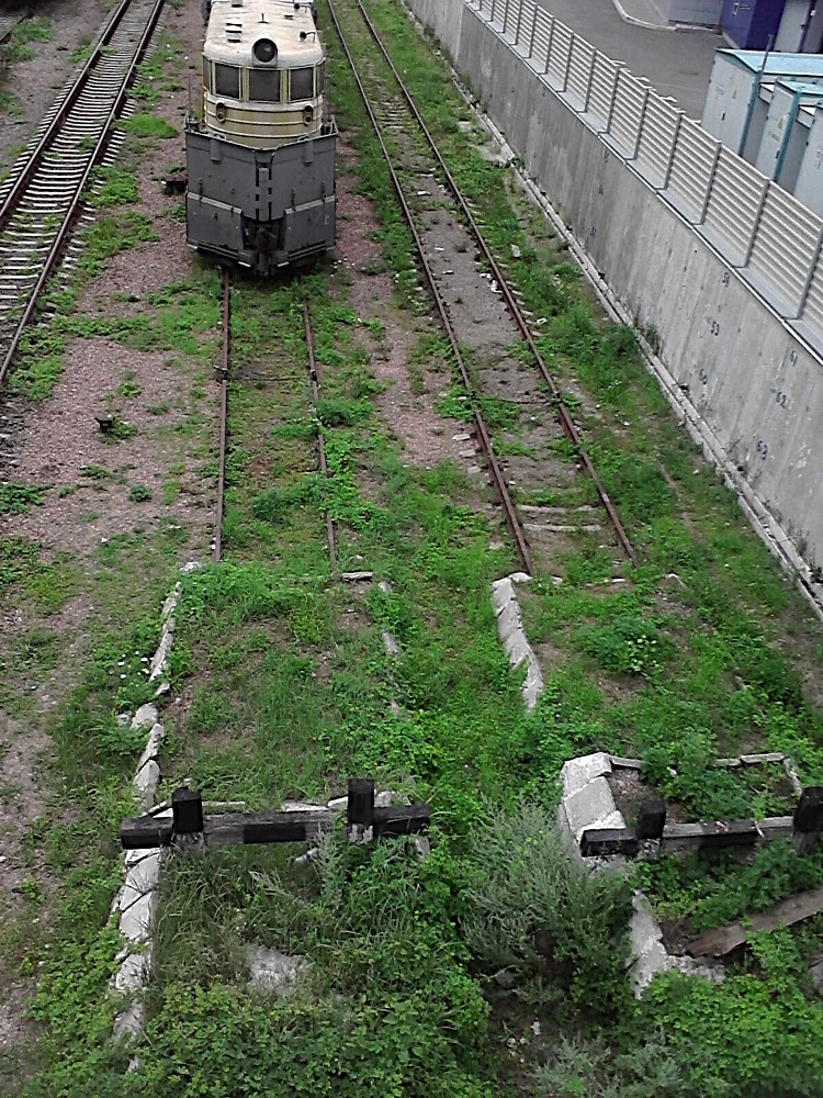 P300711_14.37.jpg