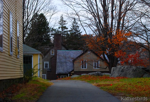 4. Path to Arts Center-kab