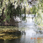 DSCN8141.JPG