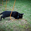 DSC_0012.jpg