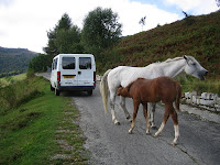 20070920_0025.JPG