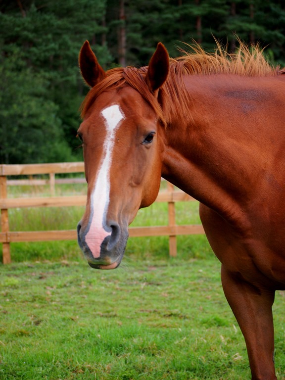 [16%2520July%25207%255B3%255D.jpg]