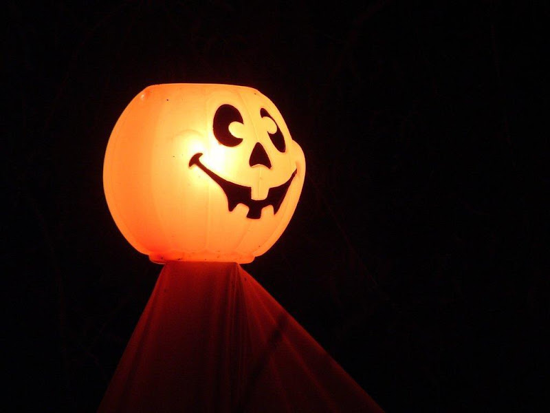 Lamp From Pumpkin, Halloween