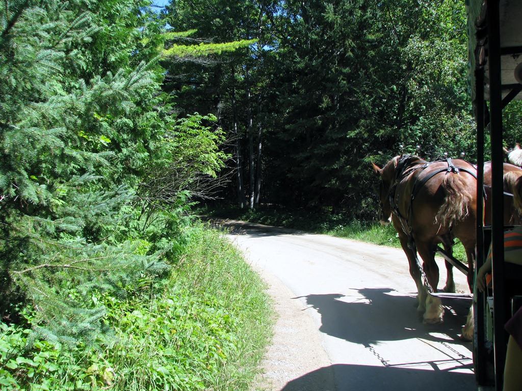 [3342%2520Michigan%2520Mackinac%2520Island%2520-%2520Carriage%2520Tours%255B3%255D.jpg]