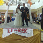 viane a mil amores acul 887.jpg