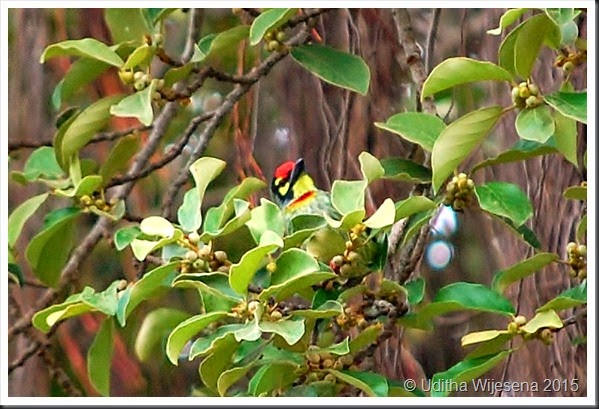 DSC_0598 DSC_0598