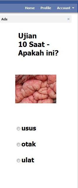 [usus2.jpg]