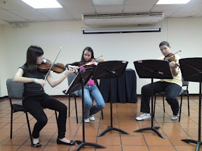 Cuarteto Chilingirian. Cátedra Música de Cámara a Músicos de Fesnojiv. Cumaná. Enero 2010