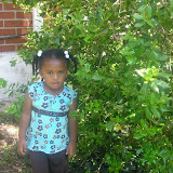 Summer 2007
