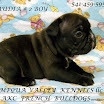 DSCN5650.jpg