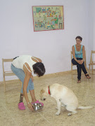 Fotos perros Varios fotos perros