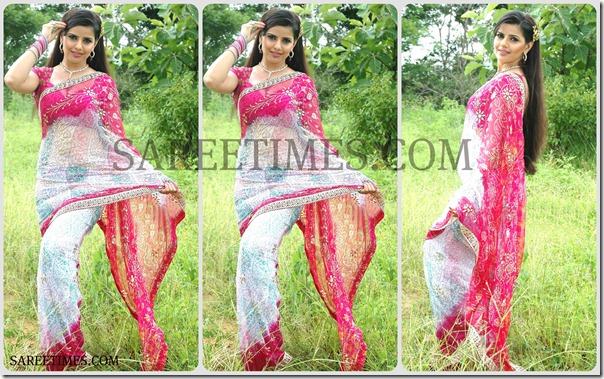 Madhu_Sharma_Designer_Saree
