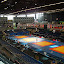 DSCF0979.JPG