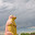 DSC_0069.jpg