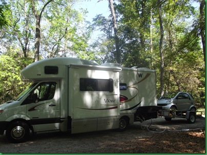 Manatee Springs 087