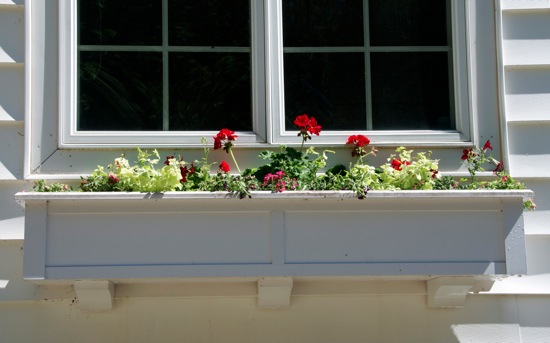windowbox2012-4.jpg Windowbox2012 4