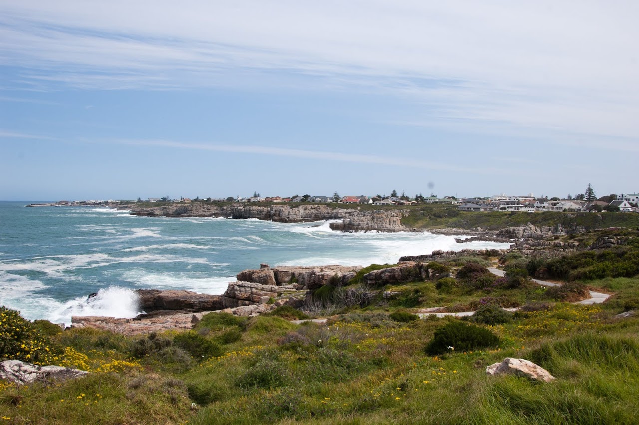 Hermanus