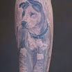 Floppy-Eared Bully Dog