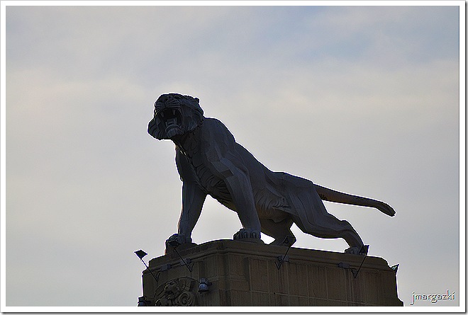 DSC_5961_01 DSC_5961_01