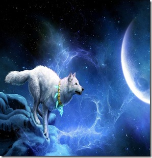 lobo-luna lobo-luna