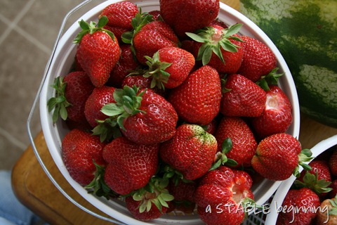 [strawberries%2520again%2520008%255B4%255D.jpg]