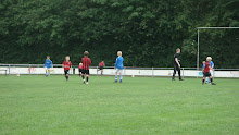 2011 - 10 JUN - WVV F4 TER APEL TOERNOOI 021.jpg