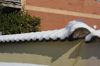 IMG_2835.JPG