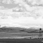IMG_4370.jpg