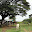 Cambodge - Batambang