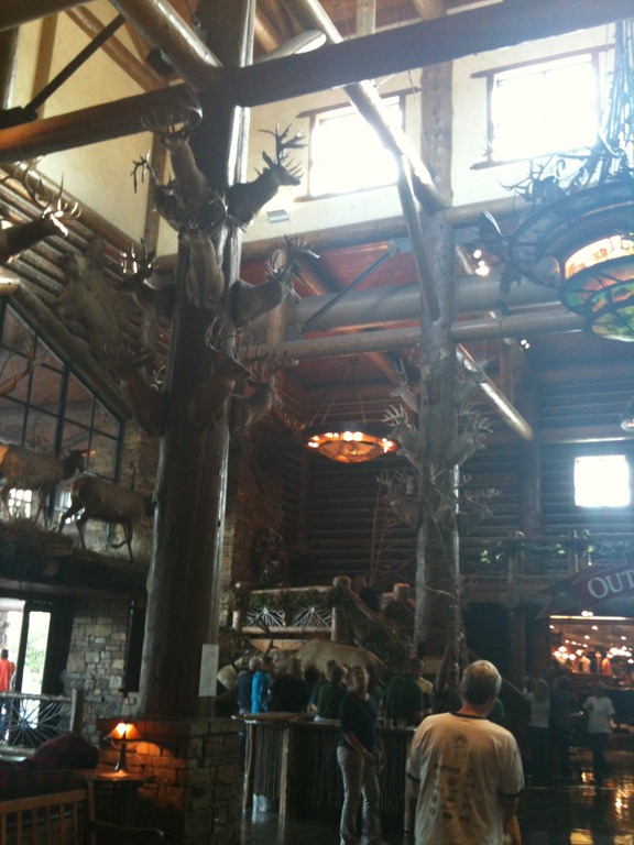 [IMG_10093.jpg]