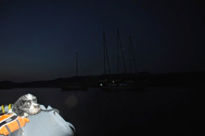 DSC_0388_2.jpg DSC 0388 2