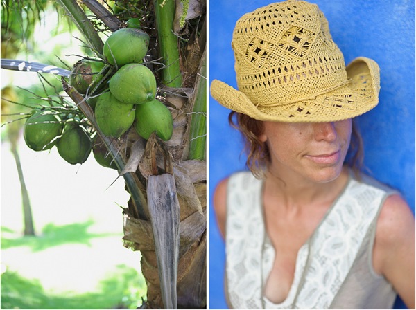Coconut tree and Tash