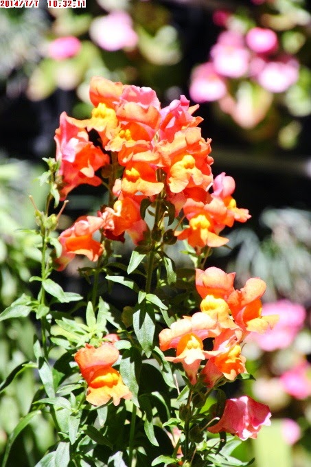 2014_0707_103211 2014_0707_103211