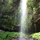 P1000533.JPG