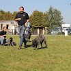 IMG_2896.JPG