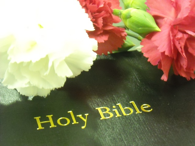 [Bible%2526Flowers%255B3%255D.jpg]
