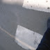 R0027766.JPG