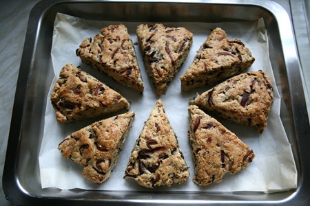 IMG_4588 IMG_4588