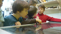 P1150463.JPG