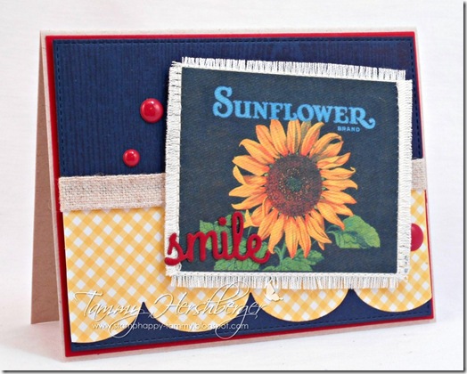 Sunflower Smile by Tammy Hershberger Sunflower Smile by Tammy Hershberger