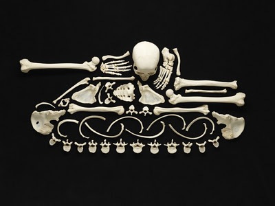 [Francois-Robert-Bones-art-2%255B7%255D.jpg]