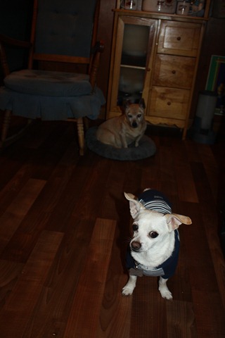 [IMG_8833%255B2%255D.jpg]