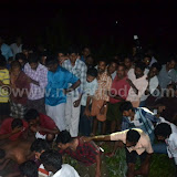 crocodile at nayathode 15.JPG