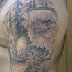 Wildlife
